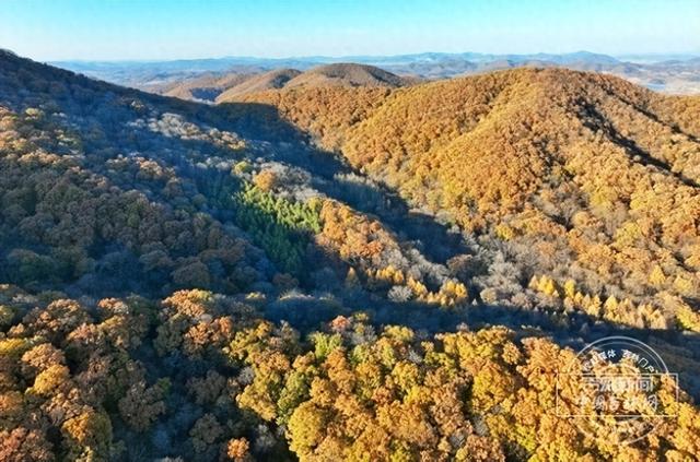 G334旁的红色智慧之旅！扫码解锁红石砬子的抗联记忆