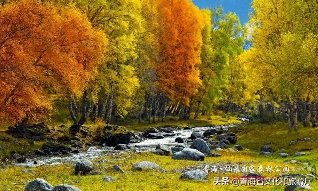 限量供应的青海之秋——票选你眼中最美的秋景！