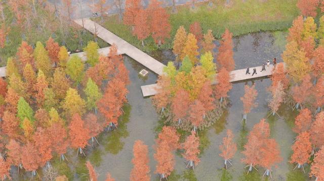 冬日，淮南春申湖如诗如画，赶紧打卡走一波