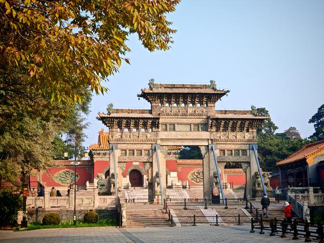 沈阳寻找银杏：从北陵到北塔