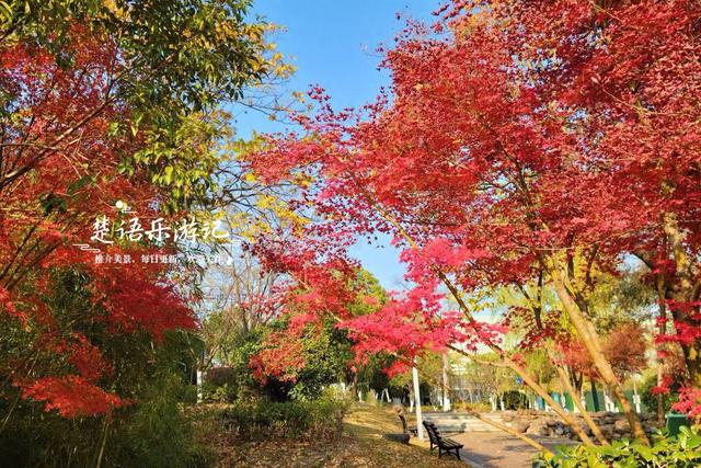 浙江宁波的绝美风景，犹如多彩的田园风情画，拍照与休闲都是一绝