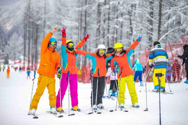 神农架滑雪季重磅升级：企鹅伴滑、萌宠撒野，解锁南国雪乡新玩法