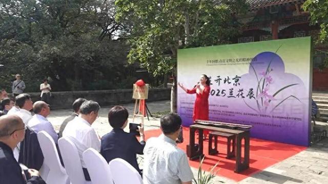 近200盆名兰！颐和园这个免费展览，展出至
