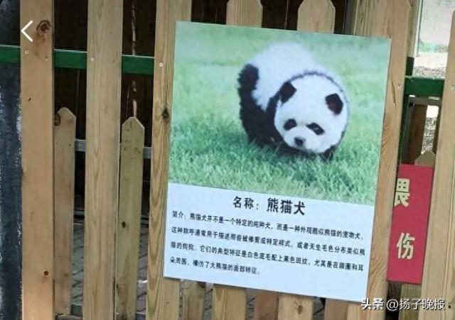 泰州动物园官宣：全球免票