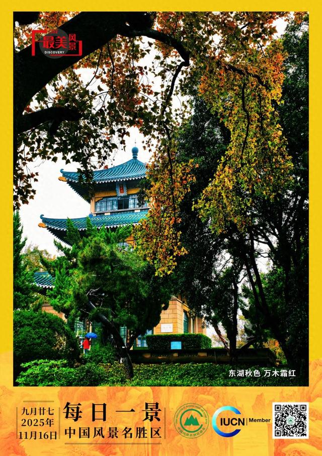每日一景 | 东湖秋色 万木霜红