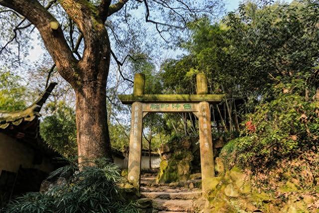 碎石坡、观景台与牵手下山的路：杭州半山野径亲子徒步记