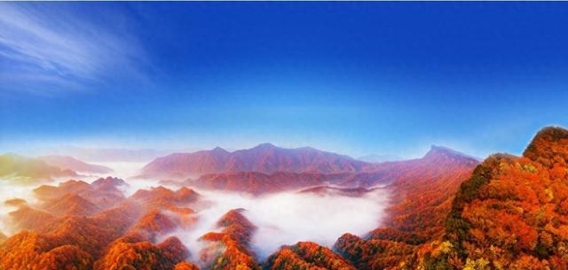 客从远方来，AI上光雾红！四川巴中光雾山向湖北游客发出浪漫邀约