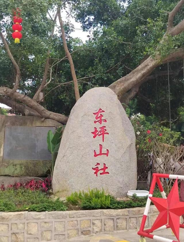 厦门东坪山社，藏在鹭岛绿肺东坪山上，福建首个近零碳排放示范区