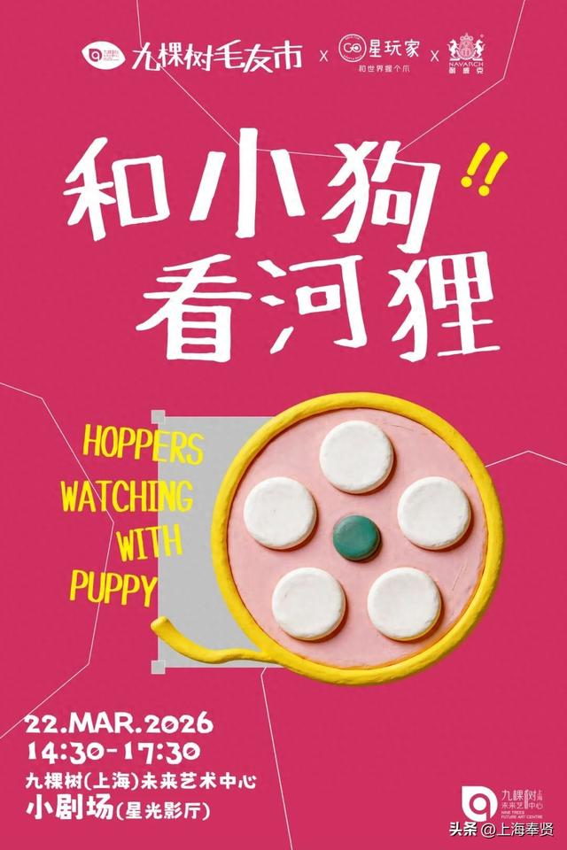 三月周末趣哪玩？来九棵树！小狗观影团、剧本围读、钢琴大师讲座，报名通道已开启→