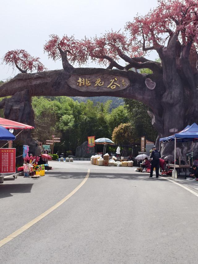 从灾后重建到4A级景区：丹凤桃花谷创出生态保护与乡村融合发展样本