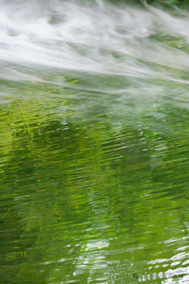 苏州拙政园的曲水里，藏着另一处天地