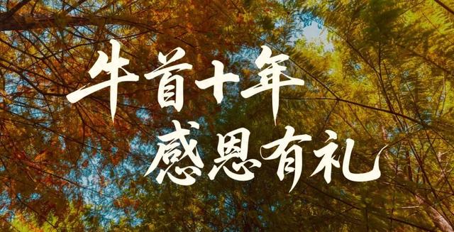 所有南京市民，半价