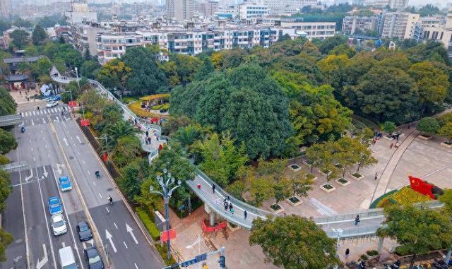翠湖城市绿道构建昆明文旅新动脉