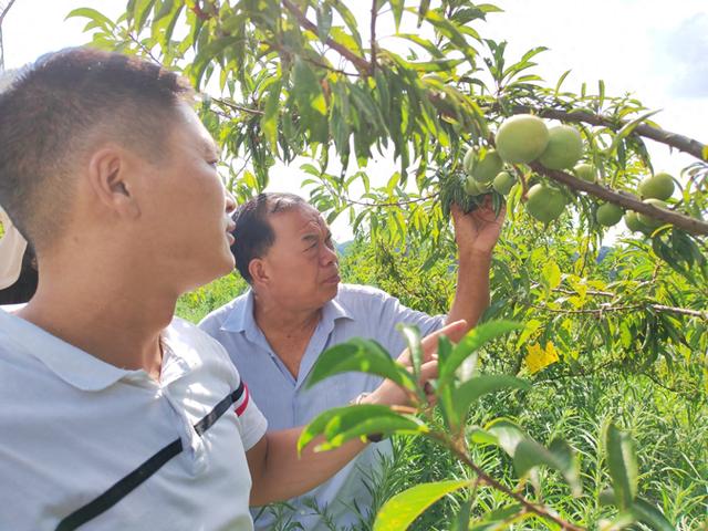 露营采摘成新宠！ 清镇市站街镇小河村农旅融合火出圈