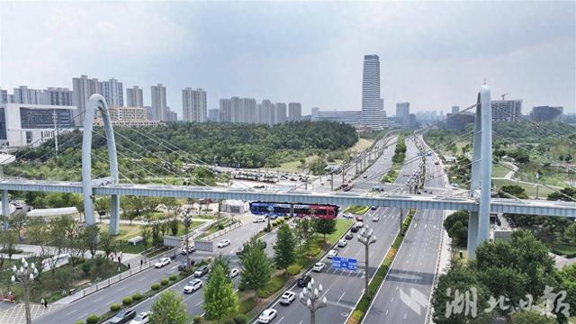 武汉空轨“低空飞行”热度持续攀升