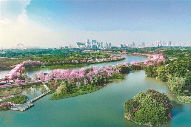 住宅结构优化（广州全面统筹城市更新）