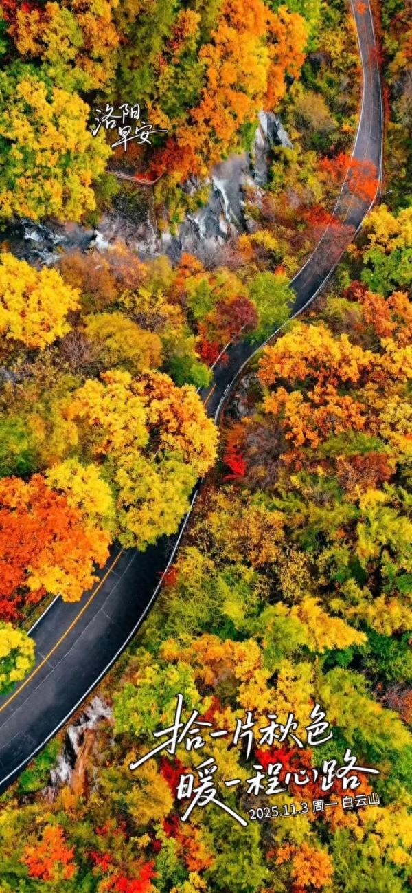 洛阳·早安|拾一片秋色 暖一程心路