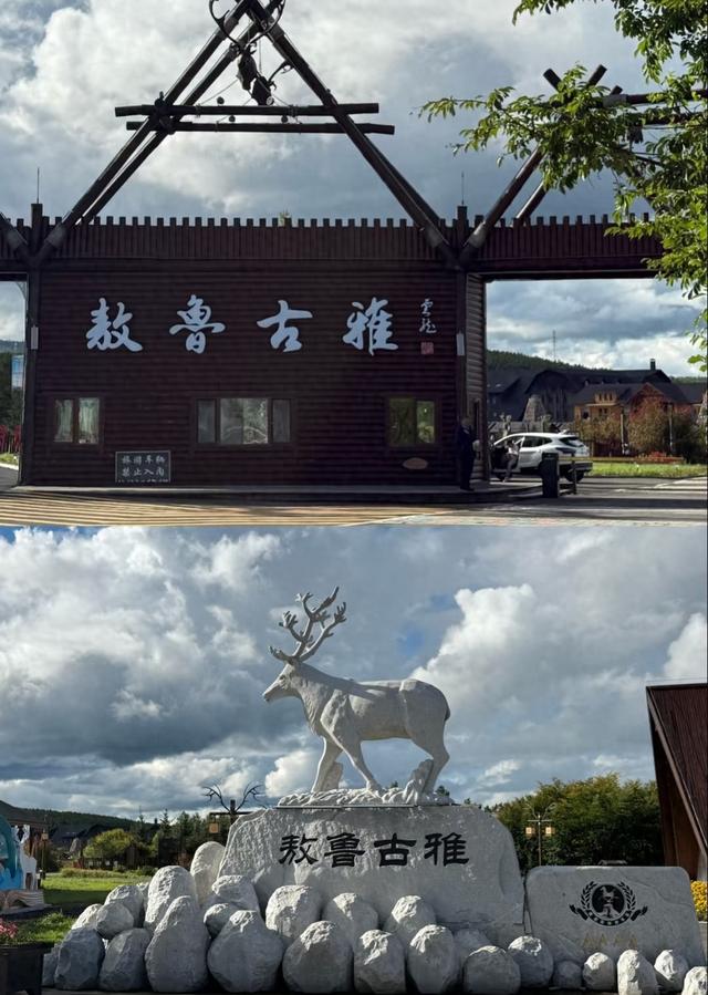 1. 我是上海人，旅游景点内蒙古敖鲁古雅，驯鹿要喂苔藓，互动靠进