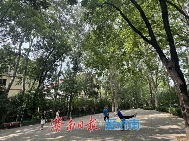 百花公园绿树成荫景如画 市民休闲好去处