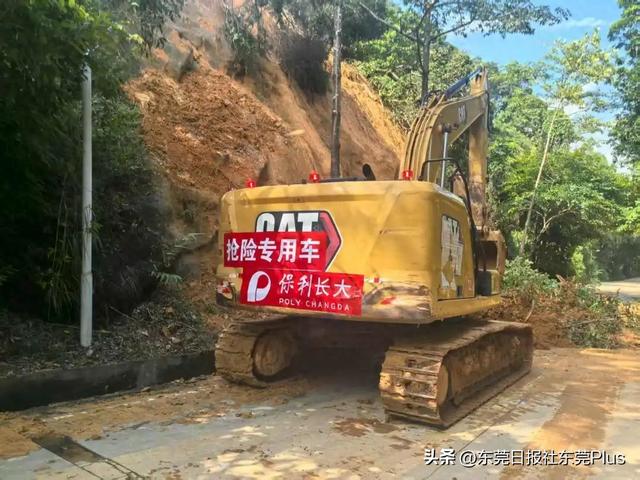 注意！东莞这个大型森林公园，明起恢复开放！