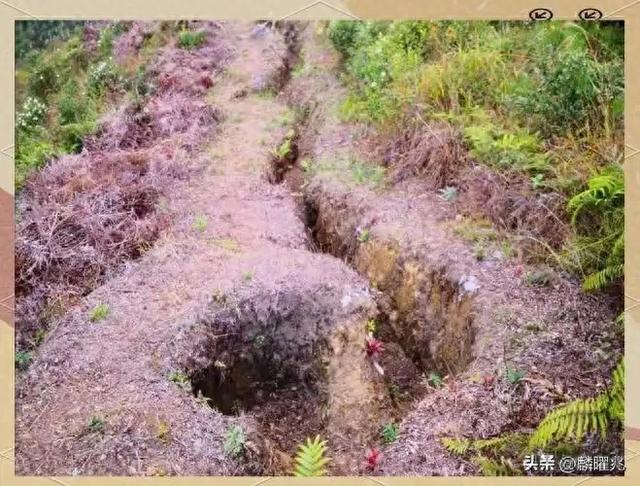 记实.儿时的回忆(七)