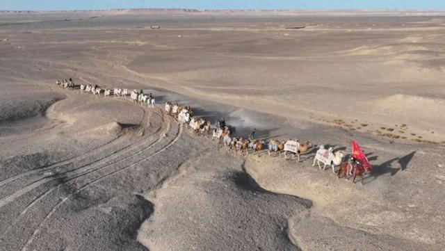 驼铃悠扬，遇见千年商都——郑州文旅即将奔赴甘肃泾川慰问“东天山骆驼队”