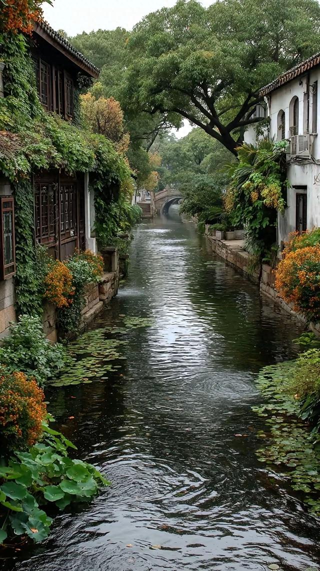 物景相和，四境风华
