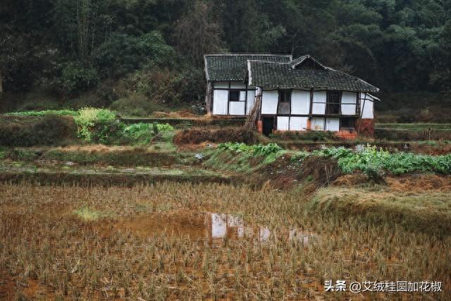 城里人想买农村小院？非本村人，买了也不算数