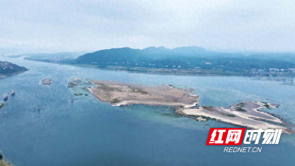 湖南衡山萱洲国家湿地公园：水清岸绿鸟蹁跹 生态画卷入眼来