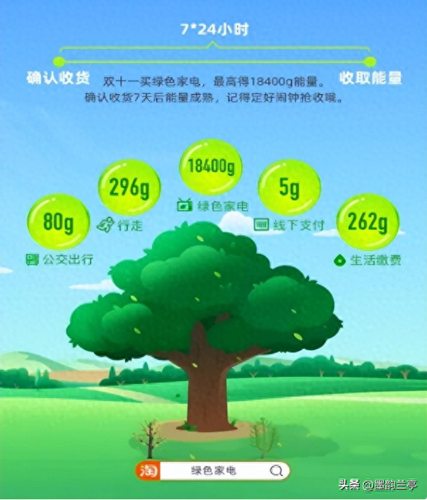 时隔六年，马云再回蚂蚁森林，当年一片荒漠，现如今已成绿洲