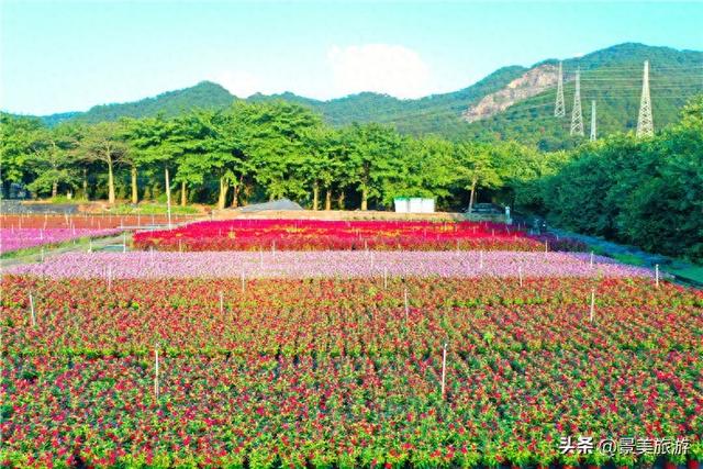国庆假期，佛山三水南山最热门，因为有一对网红姊妹景区