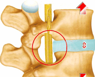 优化瑜伽（练瑜伽）