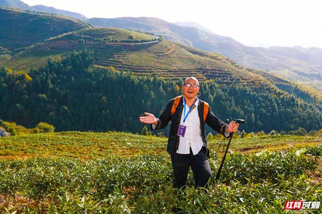 “链”上湖南 “湘”创未来 | 唯一以“茶”命名的县  2000年茶香迎来“智能炒制”