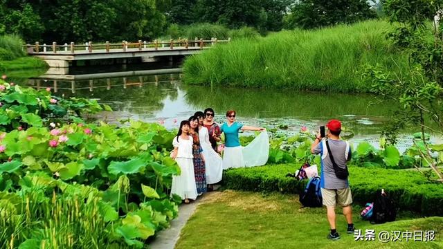 1273万人次！汉中靠什么圈粉银发族？