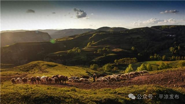 【联动宣传】平凉，是个什么样的地方？