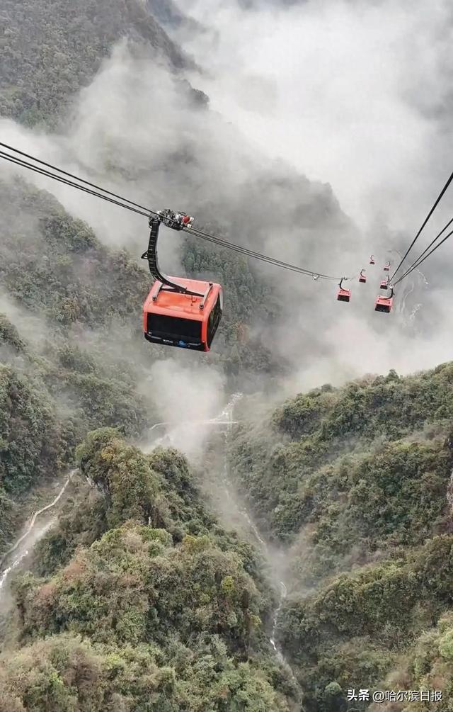 张家界天门山索道突发故障，游客被挂空中2小时后中暑？景区回应：退赔需游客主动联系