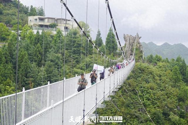 全国28个省份的网络达人与露营爱好者齐参与——“百里杜鹃·一路生花”2025避暑露营采风活动启动