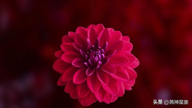 12月22日，星期一	，巨蟹座，大事即将发生！