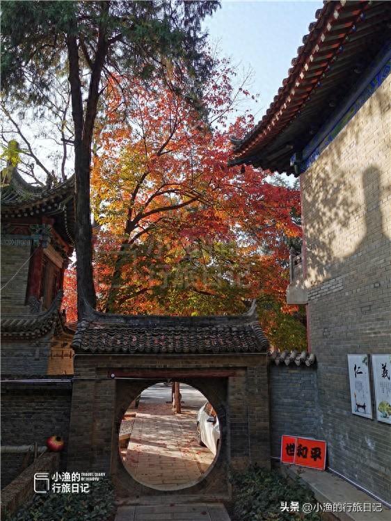 老西安私藏的赏秋秘境，免费、人少、秋色绝美！