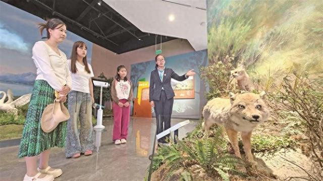 解码祁连山： 一座科普馆重塑国家公园生态账本