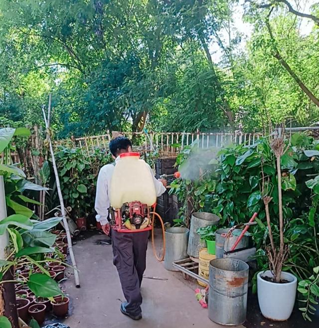创新宣传+全域消杀 三亚涉旅场所织密防蚊灭蚊“安全网”