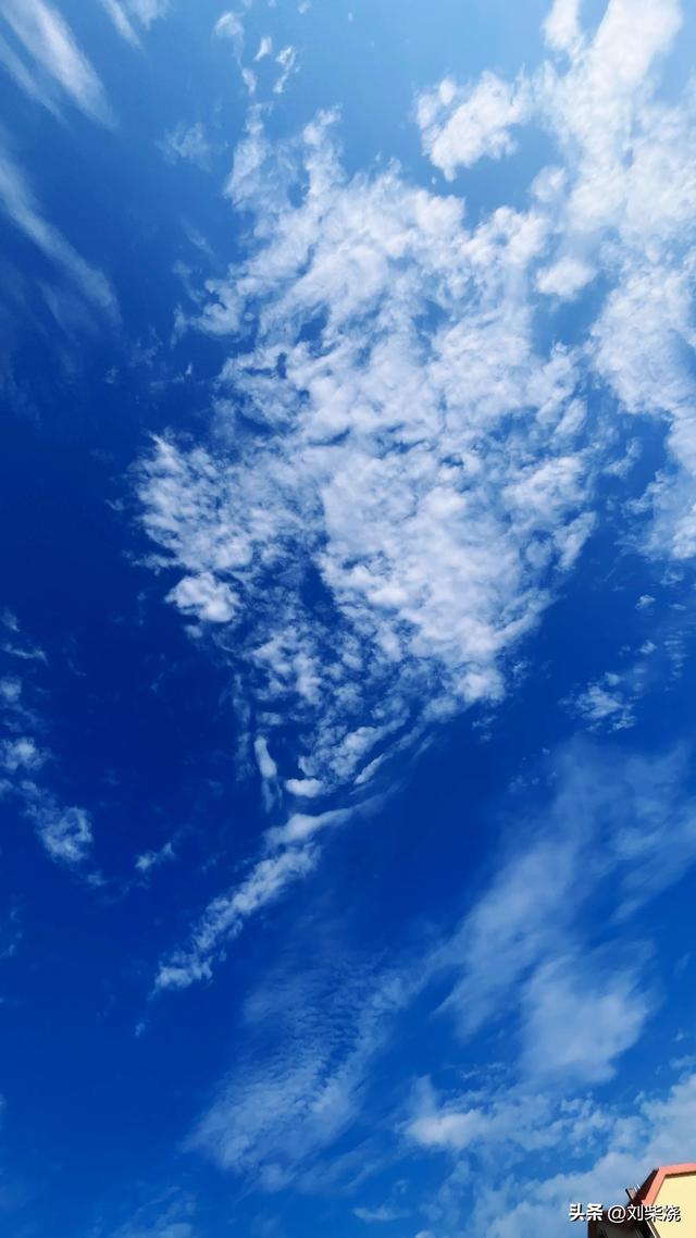 告老
