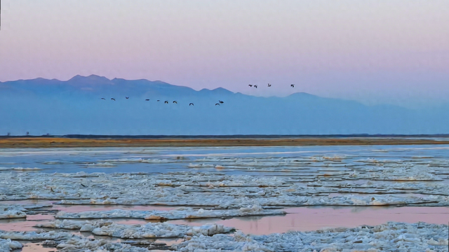 冬日奇观！落日流凌为黄河披上幻彩霓裳