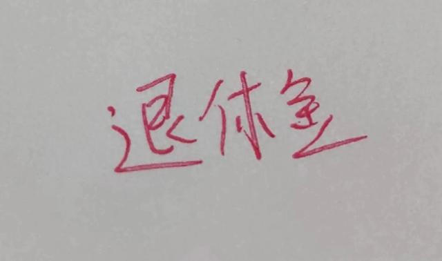 有退休金的朋友，如果每月有两三千，还有20万存款也算勉强够花了