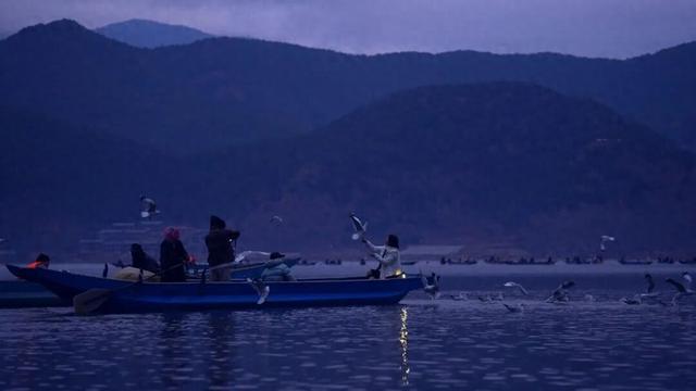 泸沽湖冬日限定浪漫：乘猪槽船，赴一场红嘴鸥之约