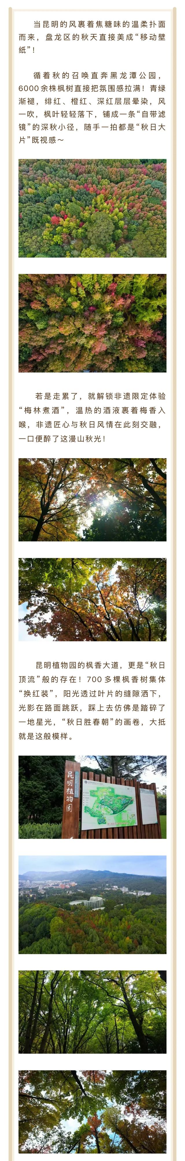 盘龙秋信炸场！秋日这场浪漫请接住