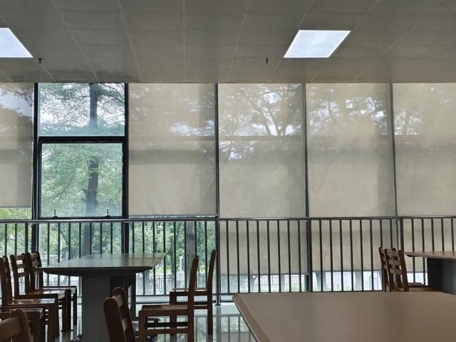 省钱也开心的3个娱乐方式