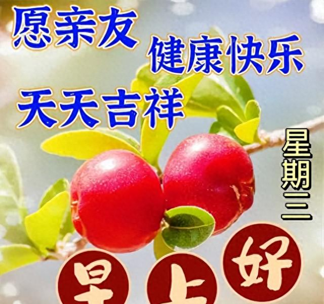唯美句子100字左右（早安祝福语短句暖心）