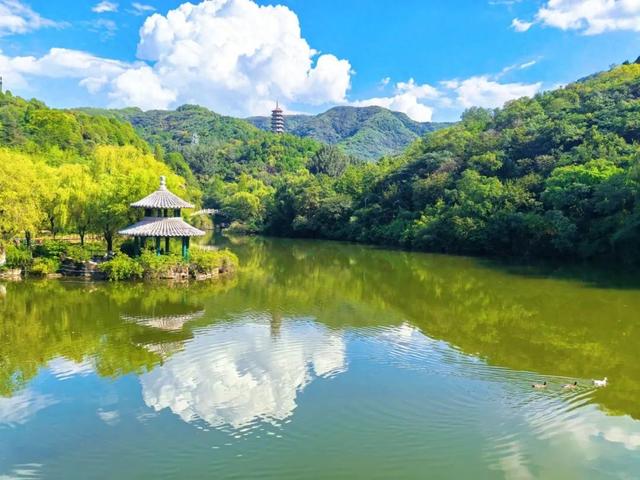 免费10天！快来探索济南这处山野秘境！
