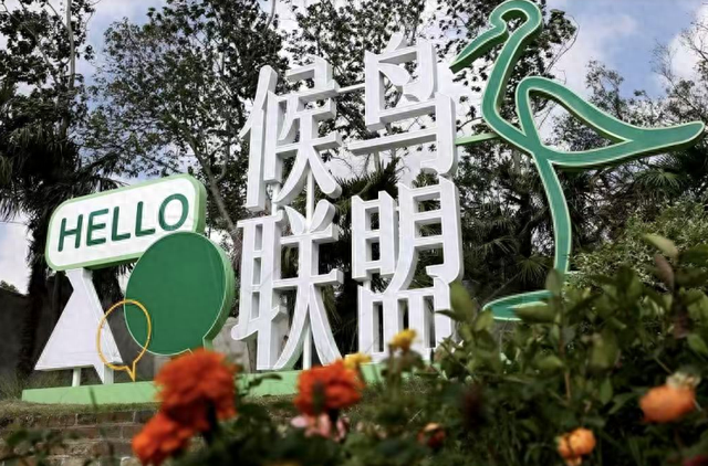 东至：候鸟为媒 解锁生态旅游新体验